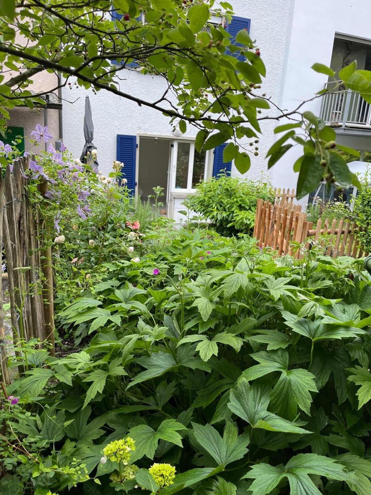 Private Garden Oasis At Letzigrund Stadion Appartement Zurich